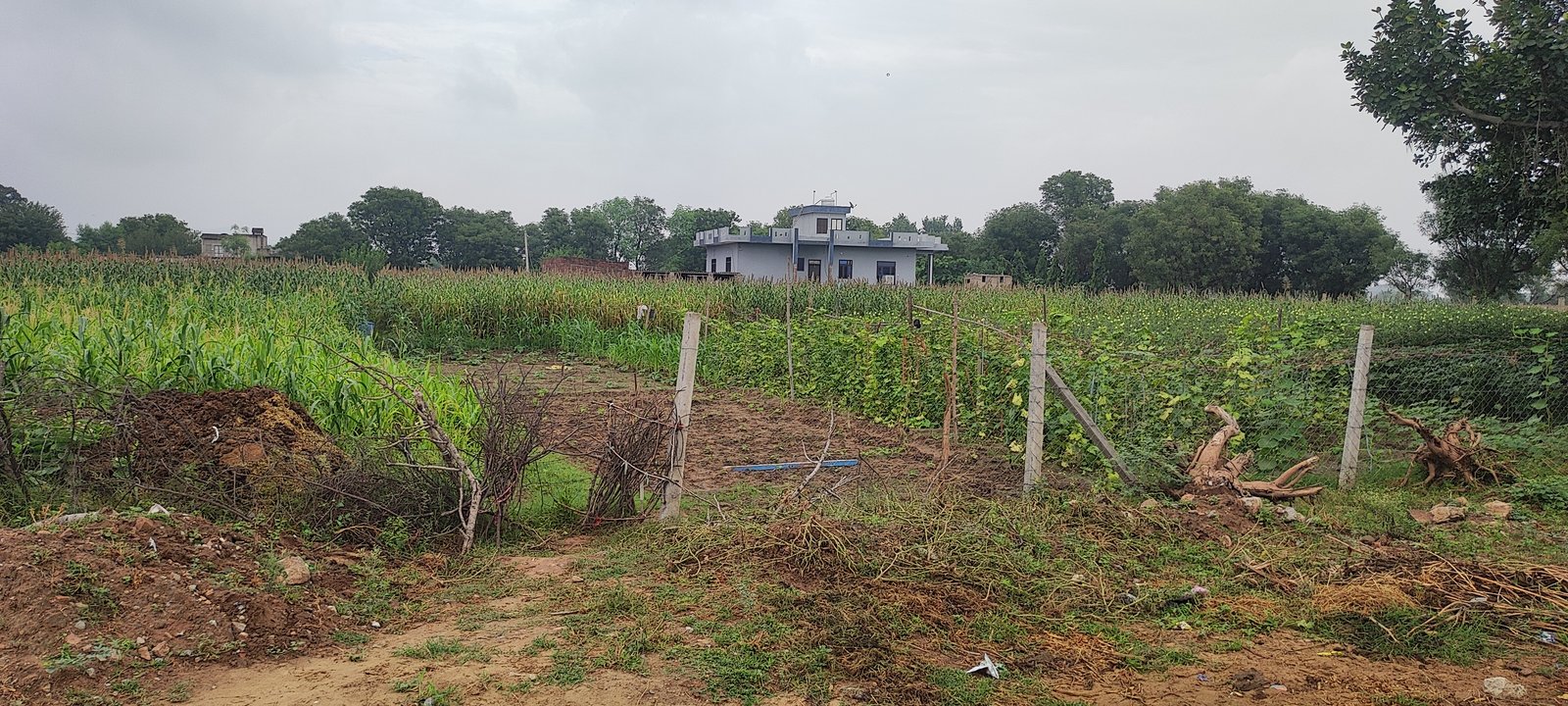 Farmland with farmhouse