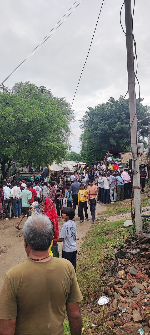 Goga Ji Mela crowd