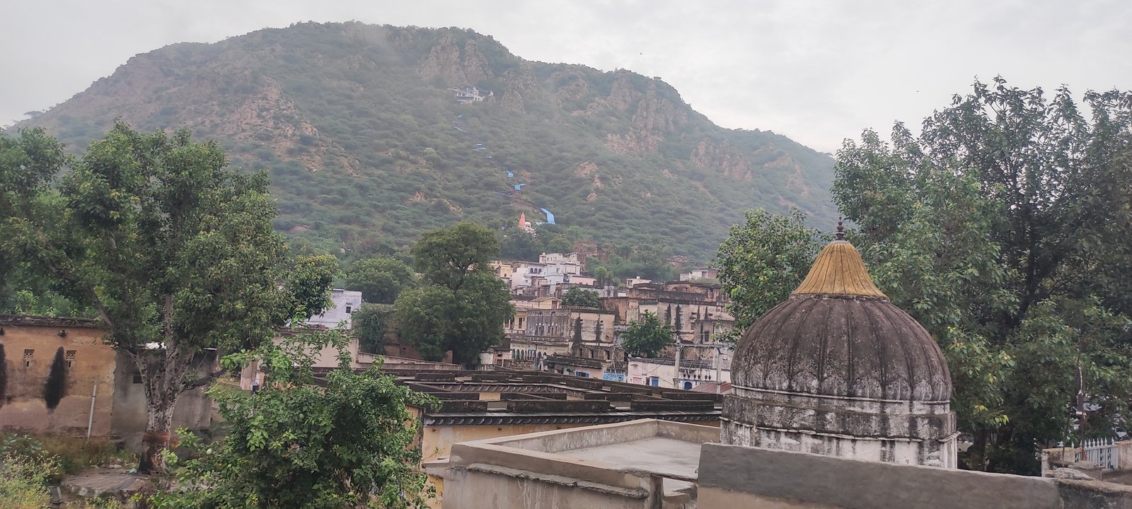 Path to Maa Mansa Devi Temple