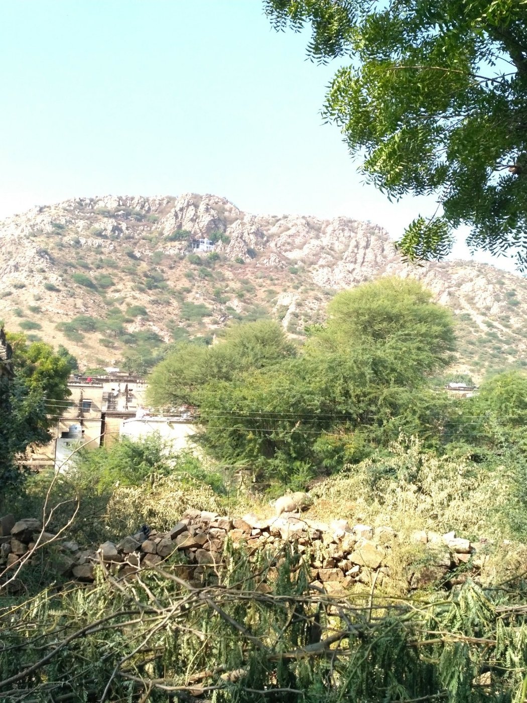 Mansa Devi hill morning view