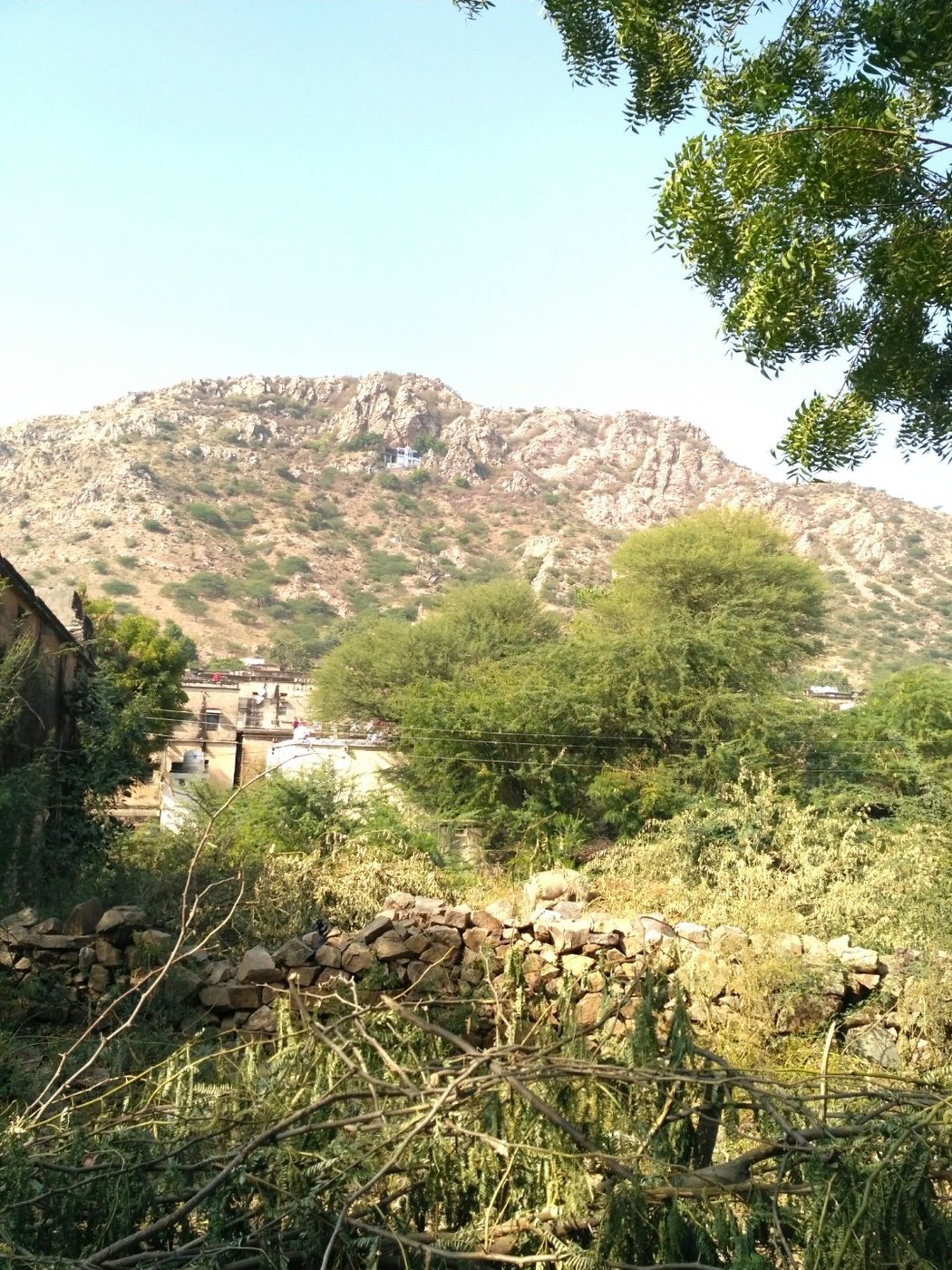 Mansa Devi hill view from haveli