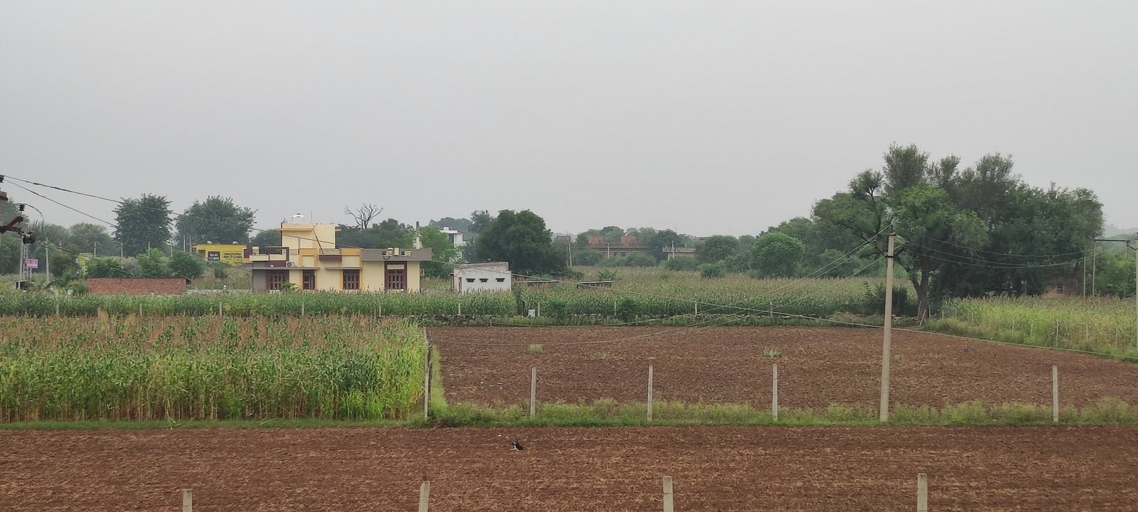 Ploughed fields