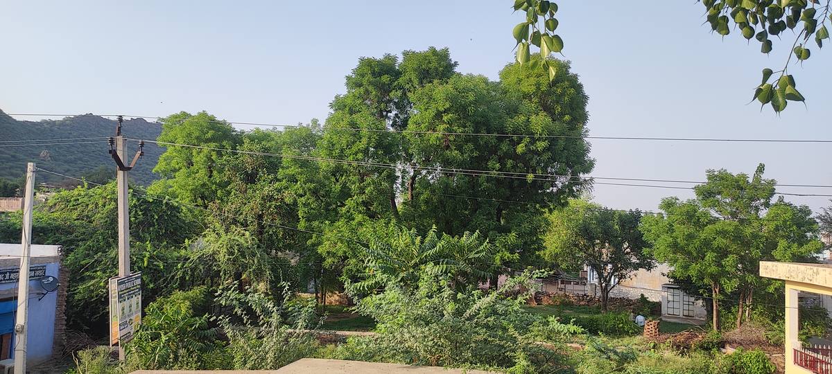 Village Life