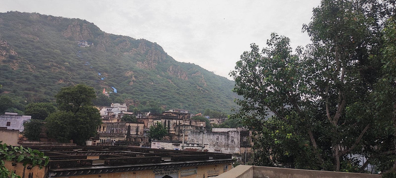 Village view with Mansa Devi hill