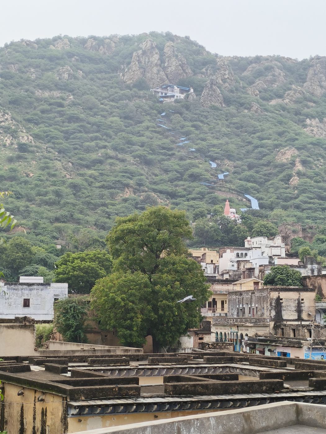 Village View